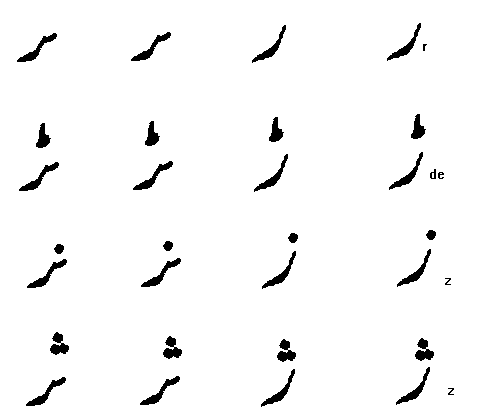 numerical conformal mapping domain decomposition